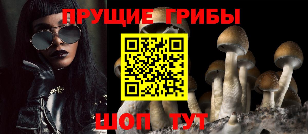 Галлюциногенные грибы Magic Shrooms Луга